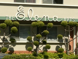 The Elena Apartments